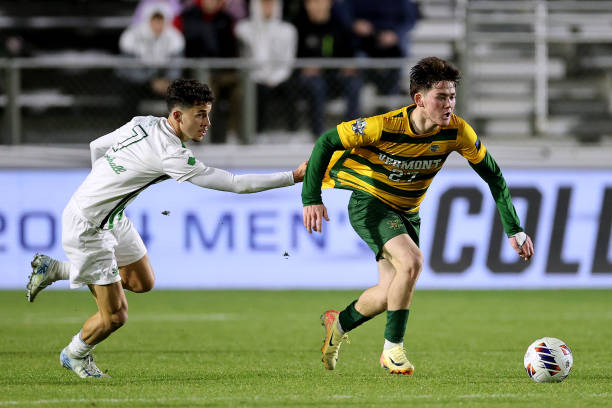 自我表现的 自我表现的