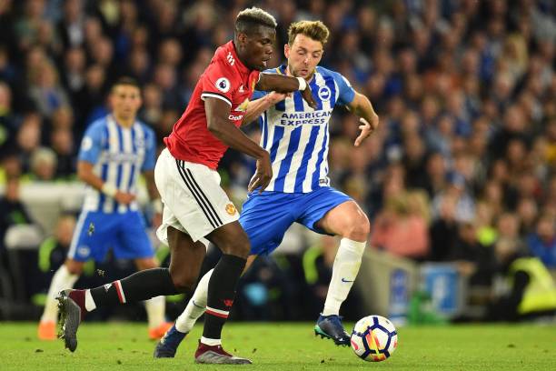 鉴于这些动 鉴于这些动